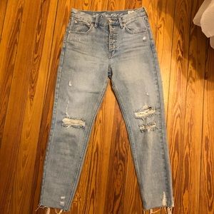 We The Free- Free People Ripped Jeans